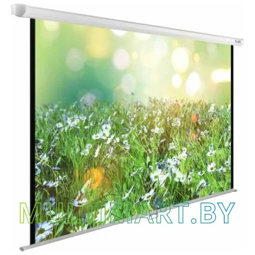 Проекционный экран CACTUS WallExpert 200x200 (CS-PSWE-200x200-WT)